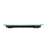 The Turquoise Marble Scale